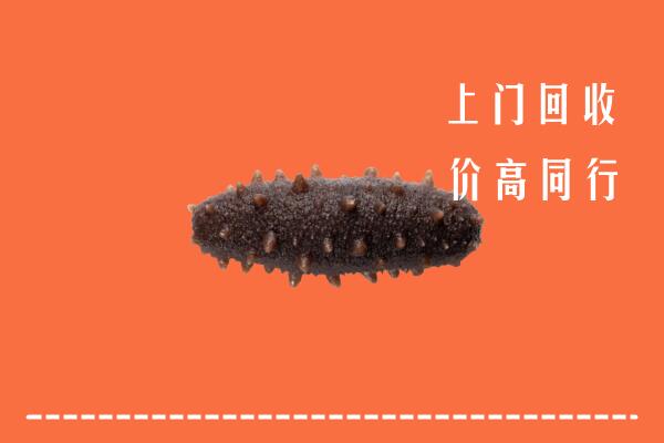 高价求购：襄阳南漳县回收海参