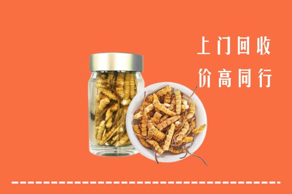 襄阳南漳县回收冬虫夏草